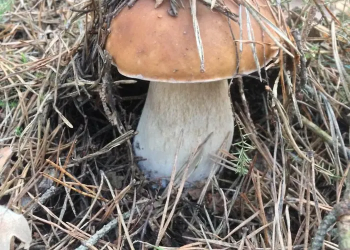 La Alpargateria ベッド・アンド・ブレックファスト *